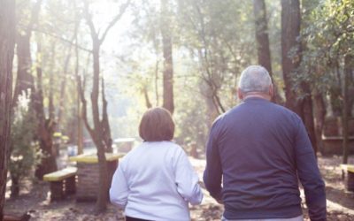 What causes wandering in people with dementia?