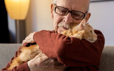 Livewell is a pet-friendly dementia and Alzheimer’s facility