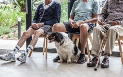 Why pet-friendly dementia care homes are so important