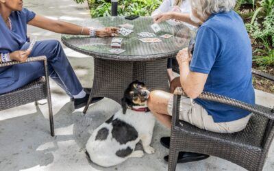 Why dementia care is shifting from “care” to “rehabilitation and maintenance”