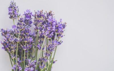 How familiar scents can trigger memories in dementia and Alzheimer’s